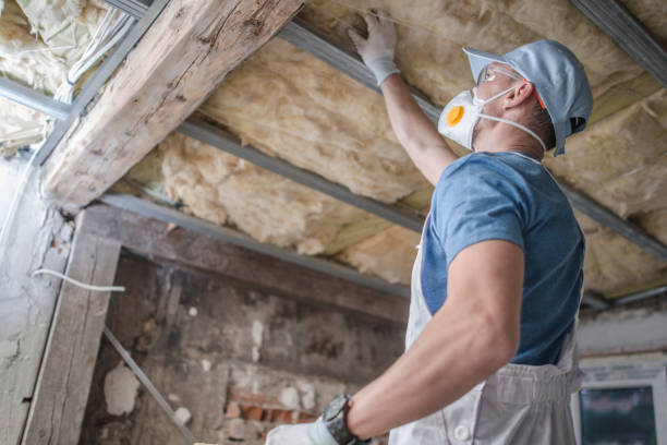 Best Insulation Installation Services in Neillsville, WI